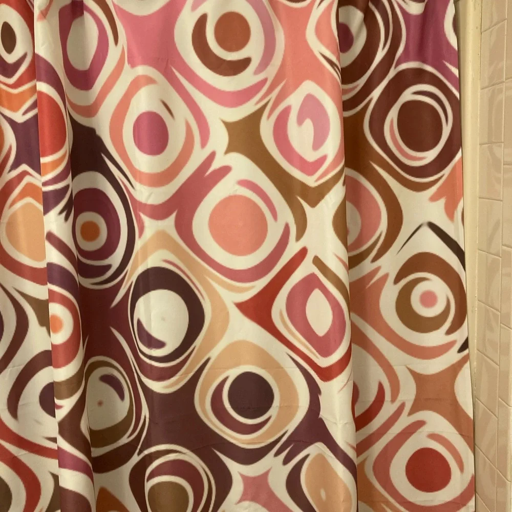 Like New Shower Curtain with Hooks and Liner